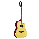 Acoustic Guitars