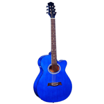 Acoustic Guitars