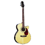 Acoustic Guitars