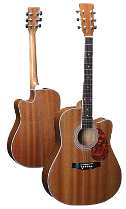 Acoustic Guitars 41''