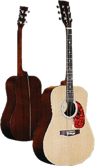 Acoustic Guitars