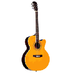 Acoustic Guitars 42'