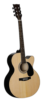 Acoustic Guitars