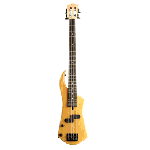 Electric Bass Guitars