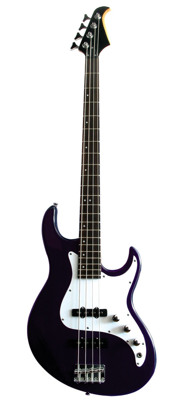 Electric Bass Guitars