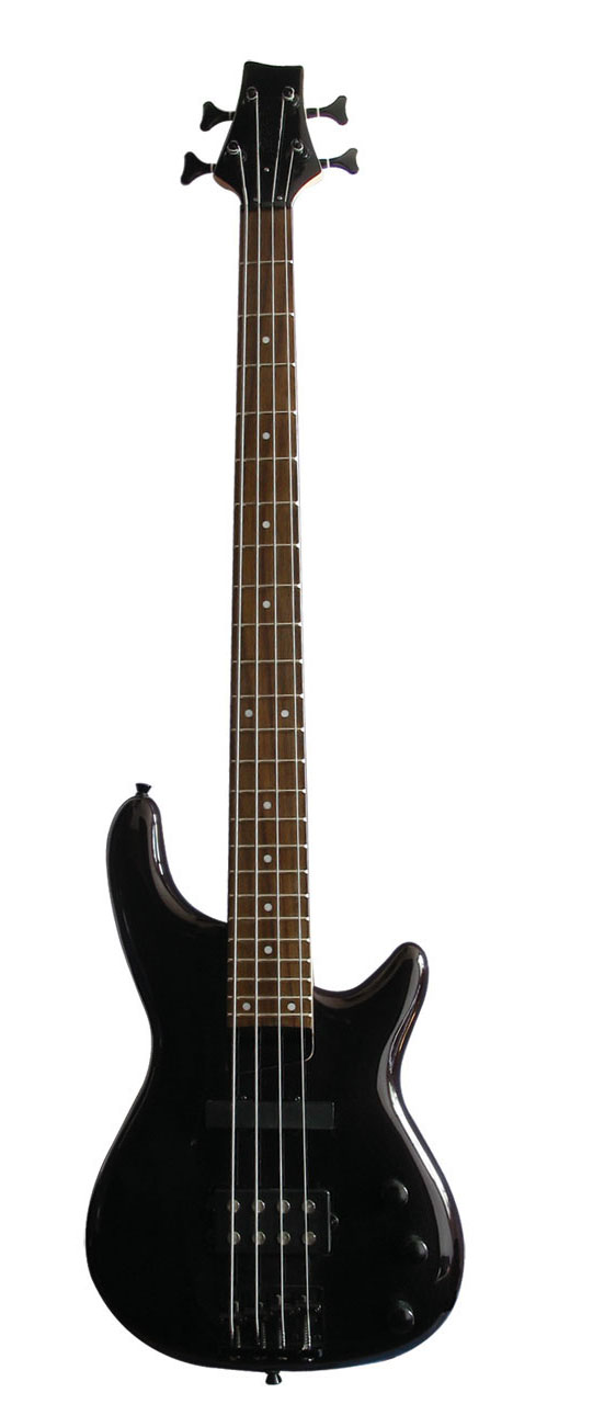 Electric Bass Guitars