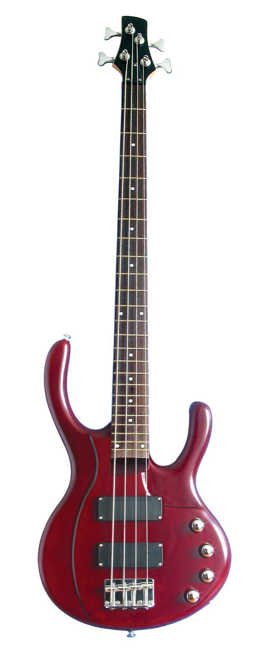 Electric Bass Guitars
