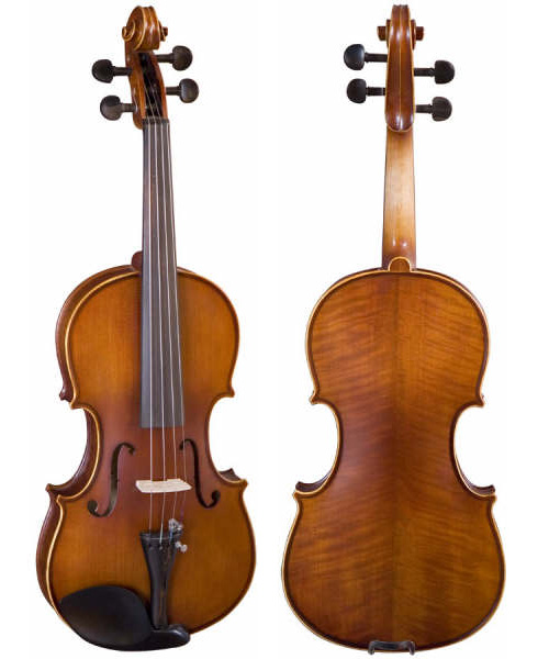 Violins