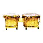 Professional Bongos