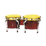 Wood Bongos