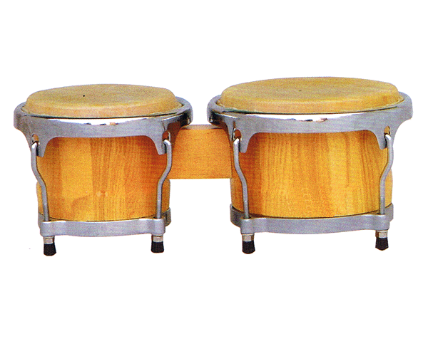 Professional Bongos