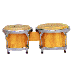 Professional Bongos