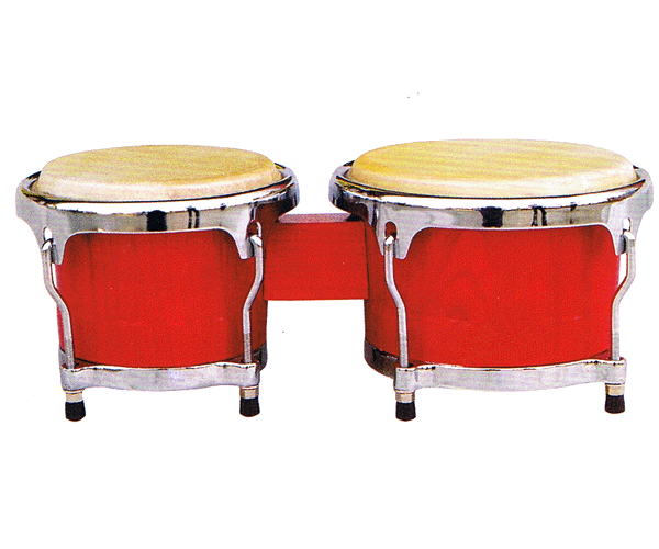 Professional Bongos