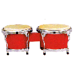 Professional Bongos