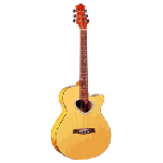 acoustic guitar