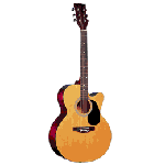 Acoustic Guitar